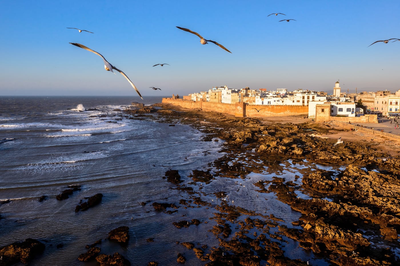 Vent et embruns sur la côte atlantique marocaine, terrain de jeu idéal pour le wingfoil